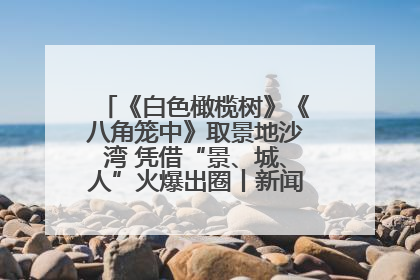 《白色橄榄树》《八角笼中》取景地沙湾 凭借“景、城、人”火爆出圈丨新闻发布最前线