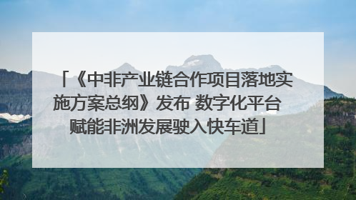 《中非产业链合作项目落地实施方案总纲》发布 数字化平台赋能非洲发展驶入快车道