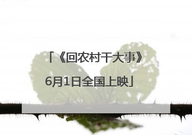 《回农村干大事》6月1日全国上映