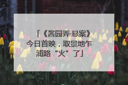 《酱园弄·悬案》今日首映，取景地乍浦路“火”了