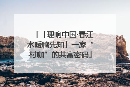 「理响中国·春江水暖鸭先知」一家“村咖”的共富密码