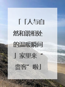 「人与自然和谐相处的温暖瞬间」家里来“贵客”啦
