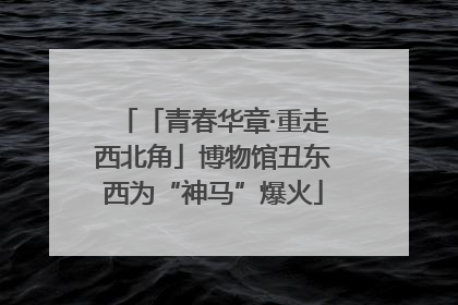 「青春华章·重走西北角」博物馆丑东西为“神马”爆火