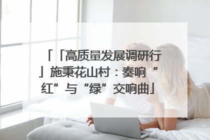 「高质量发展调研行」施秉花山村：奏响“红”与“绿”交响曲