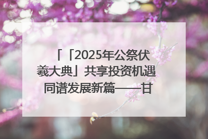 「2025年公祭伏羲大典」共享投资机遇 同谱发展新篇——甘肃省文旅产业链招商引资推介会侧记