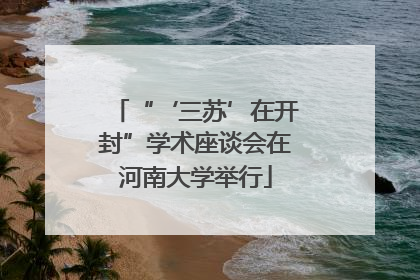 “‘三苏’在开封”学术座谈会在河南大学举行