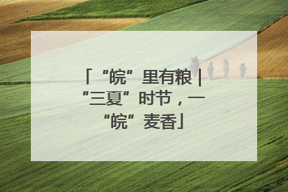 “皖”里有粮｜“三夏”时节，一“皖”麦香