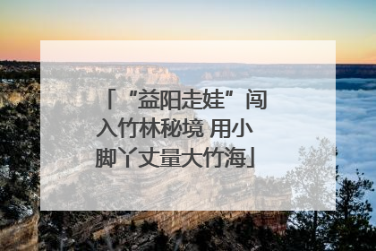 “益阳走娃”闯入竹林秘境 用小脚丫丈量大竹海