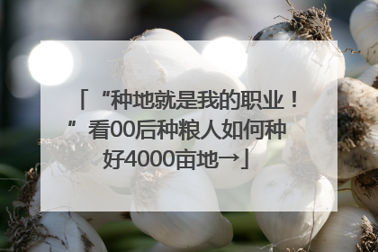 “种地就是我的职业！”看00后种粮人如何种好4000亩地→