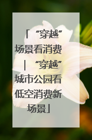 “穿越”场景看消费｜“穿越”城市公园看低空消费新场景
