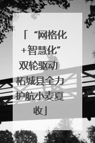 “网格化+智慧化”双轮驱动 柘城县全力护航小麦夏收