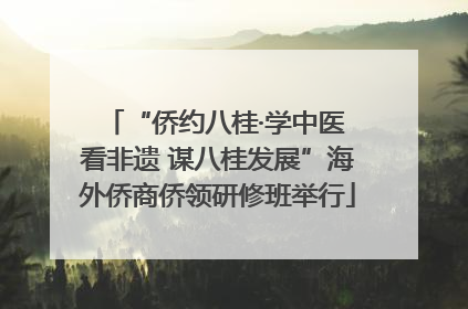 “侨约八桂·学中医 看非遗 谋八桂发展”海外侨商侨领研修班举行