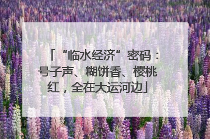 “临水经济”密码：号子声、糊饼香、樱桃红，全在大运河边