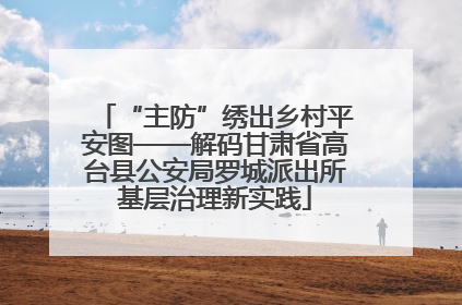 “主防”绣出乡村平安图——解码甘肃省高台县公安局罗城派出所基层治理新实践