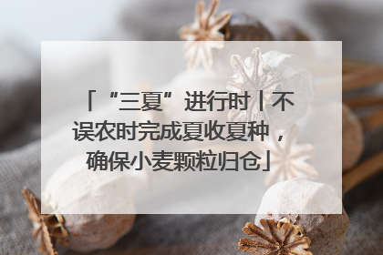 “三夏”进行时丨不误农时完成夏收夏种，确保小麦颗粒归仓