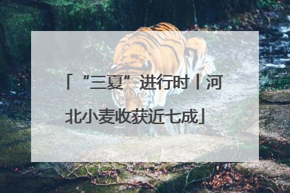 “三夏”进行时丨河北小麦收获近七成