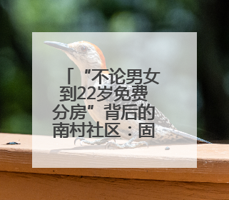 “不论男女到22岁免费分房”背后的南村社区：固定资产超20亿元，投资的影视基地被称为“山村好莱坞”