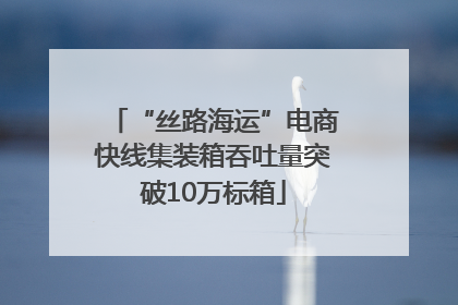 “丝路海运”电商快线集装箱吞吐量突破10万标箱