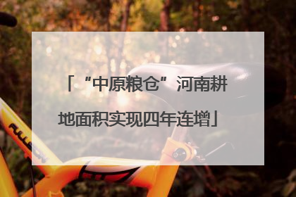 “中原粮仓”河南耕地面积实现四年连增