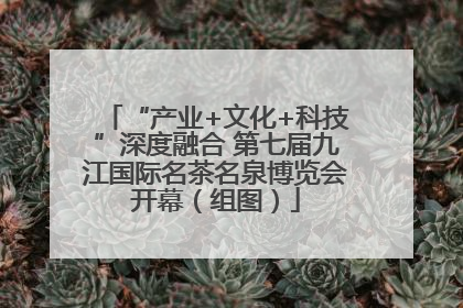 “产业+文化+科技”深度融合 第七届九江国际名茶名泉博览会开幕（组图）