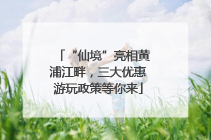 “仙境”亮相黄浦江畔，三大优惠游玩政策等你来