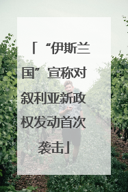 “伊斯兰国”宣称对叙利亚新政权发动首次袭击