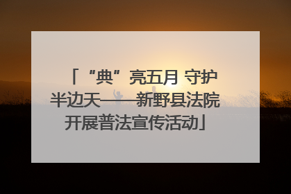 “典”亮五月 守护半边天——新野县法院开展普法宣传活动