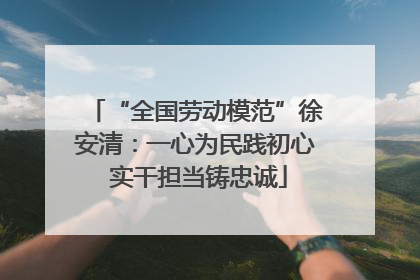 “全国劳动模范”徐安清：一心为民践初心 实干担当铸忠诚