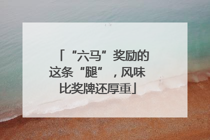 “六马”奖励的这条“腿”，风味比奖牌还厚重