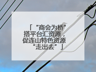 “商会为桥”搭平台汇资源，促连山特色资源“走出去”