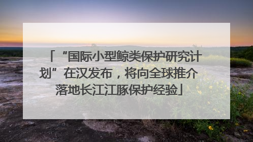 “国际小型鲸类保护研究计划”在汉发布，将向全球推介落地长江江豚保护经验