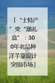 “土特产”变“潮礼盒”：300年老品种洋芋靠设计突围市场