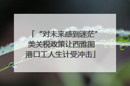 “对未来感到迷茫” 美关税政策让西雅图港口工人生计受冲击