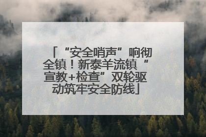 “安全哨声”响彻全镇！新泰羊流镇“宣教+检查”双轮驱动筑牢安全防线