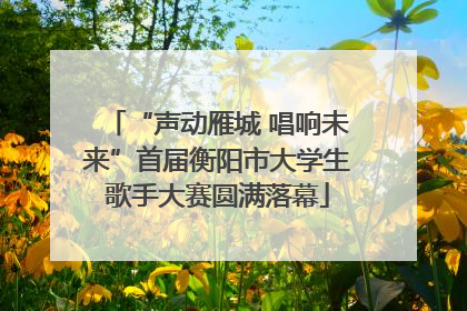 “声动雁城 唱响未来”首届衡阳市大学生歌手大赛圆满落幕