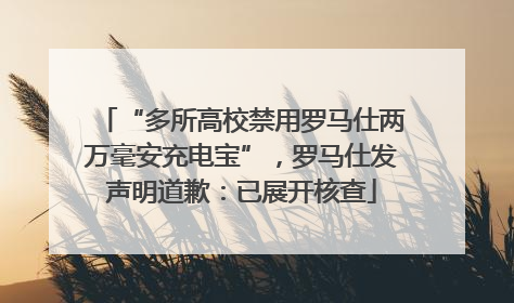 “多所高校禁用罗马仕两万毫安充电宝”，罗马仕发声明道歉：已展开核查
