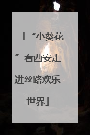 “小葵花”看西安走进丝路欢乐世界