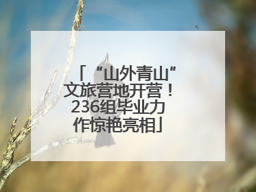 “山外青山”文旅营地开营！236组毕业力作惊艳亮相