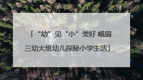 “幼”见“小”美好 峨眉三幼大班幼儿探秘小学生活