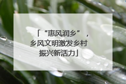 “惠风润乡”，乡风文明激发乡村振兴新活力