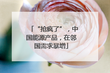 “抢疯了”，中国能源产品，在邻国需求暴增