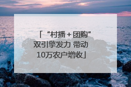 “村播＋团购”双引擎发力 带动10万农户增收