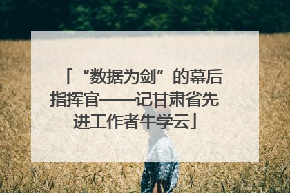 “数据为剑”的幕后指挥官——记甘肃省先进工作者牛学云