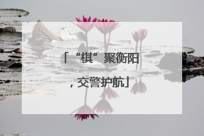 “棋”聚衡阳，交警护航