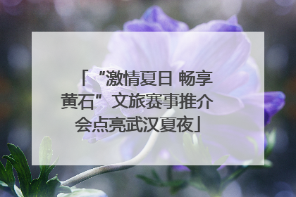 “激情夏日 畅享黄石”文旅赛事推介会点亮武汉夏夜
