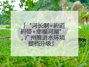 “河长制+碧道碧带+幸福河湖”，广州推进水环境提档升级