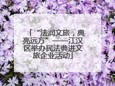 “法润文旅，典亮远方”——江汉区举办民法典进文旅企业活动