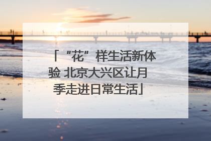“花”样生活新体验 北京大兴区让月季走进日常生活