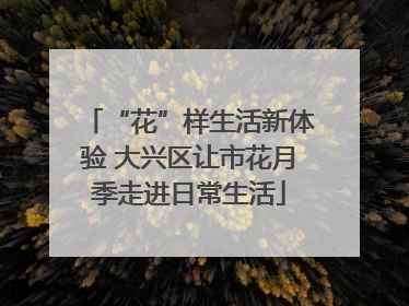 “花”样生活新体验 大兴区让市花月季走进日常生活