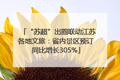 “苏超”出圈联动江苏各地文旅：省内景区预订同比增长305%